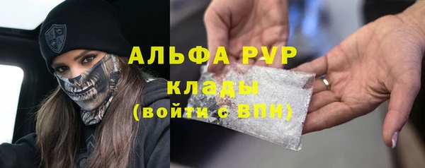 крисы Аркадак