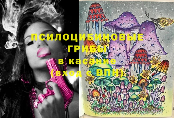 2c-b Арсеньев