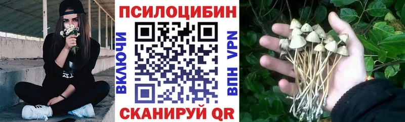 купить закладку Саратов Галлюциногенные грибы мухоморы